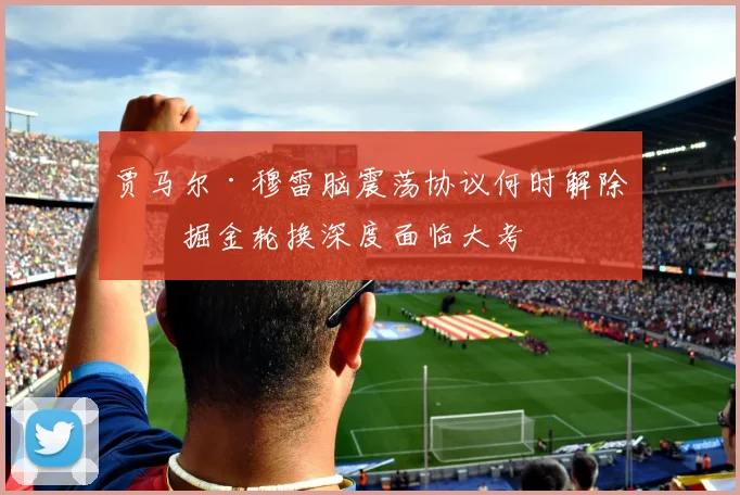 贾马尔·穆雷脑震荡协议何时解除？掘金轮换深度面临大考